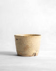 Asahikawa Choko Tea Cup (Gray) - Kazuhiko Kudō