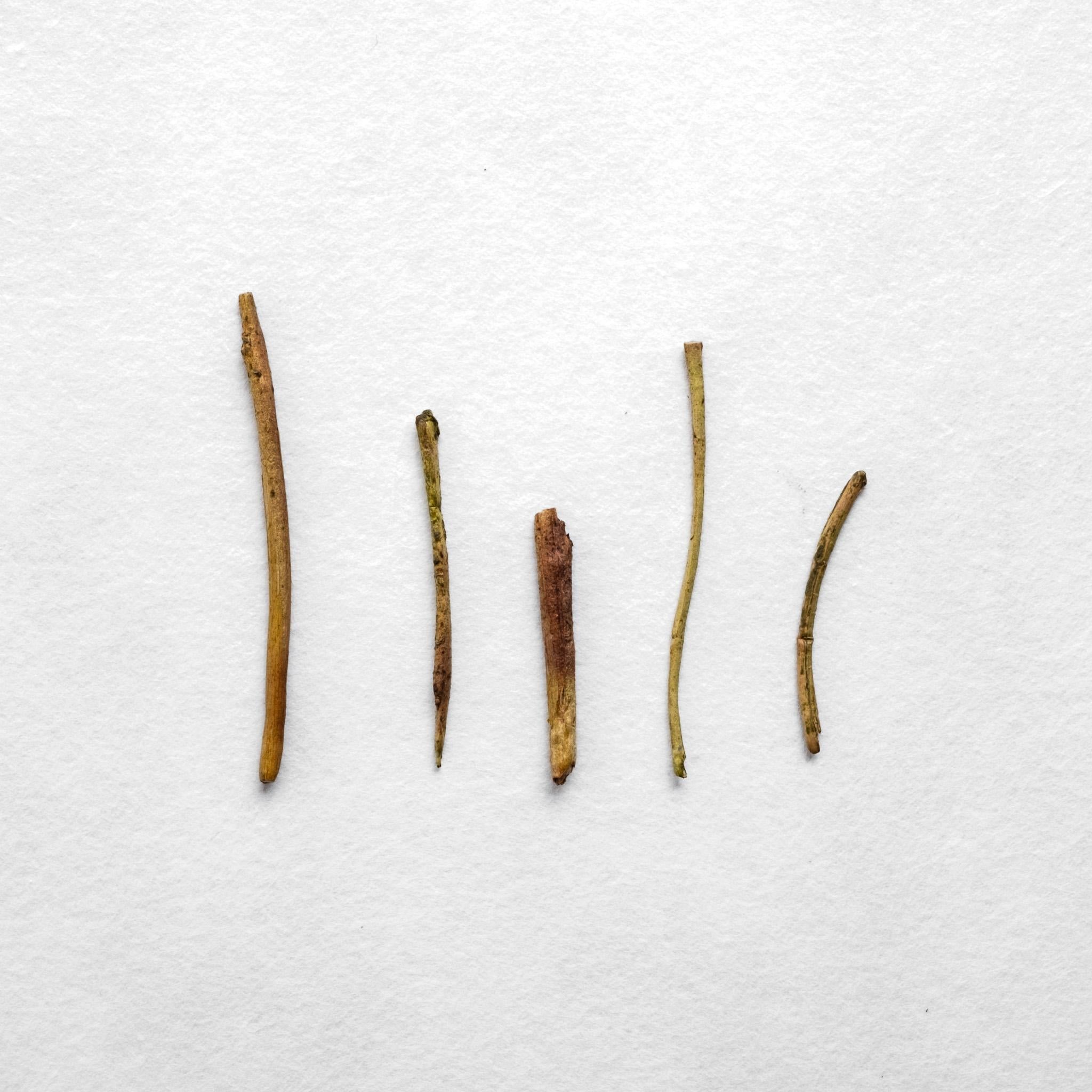 Kenjo Kaga Boucha Houjicha