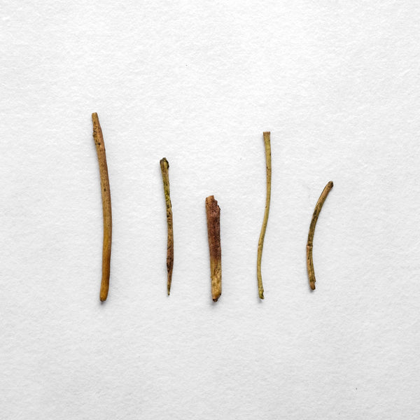 Kenjo Kaga Boucha Houjicha – Kettl