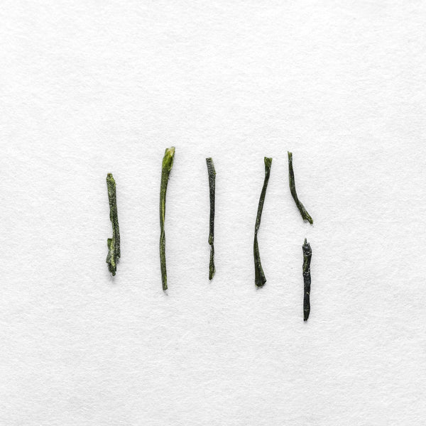 Miyabi Sencha – Kettl