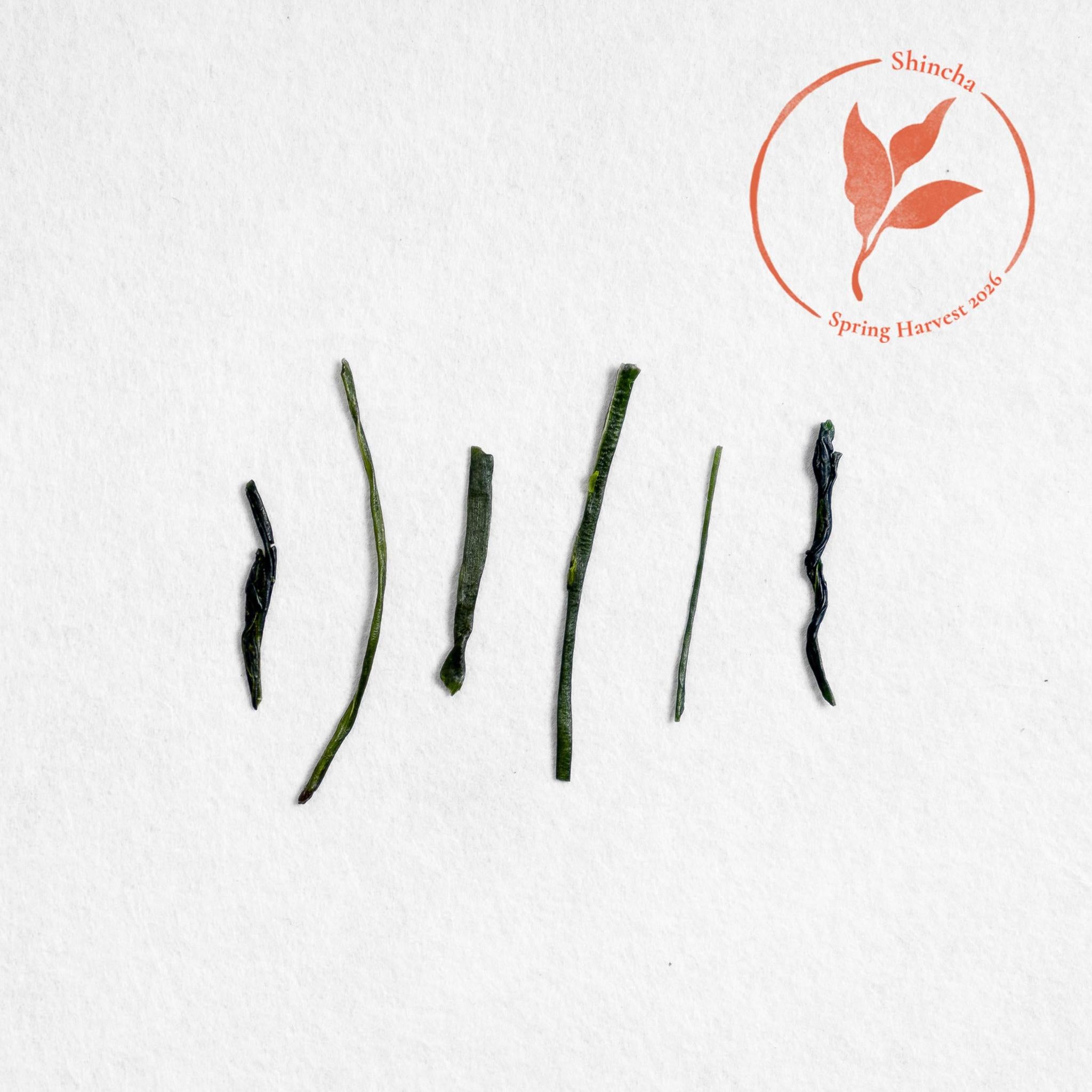 Oohashiri Shincha (Pre-Order)