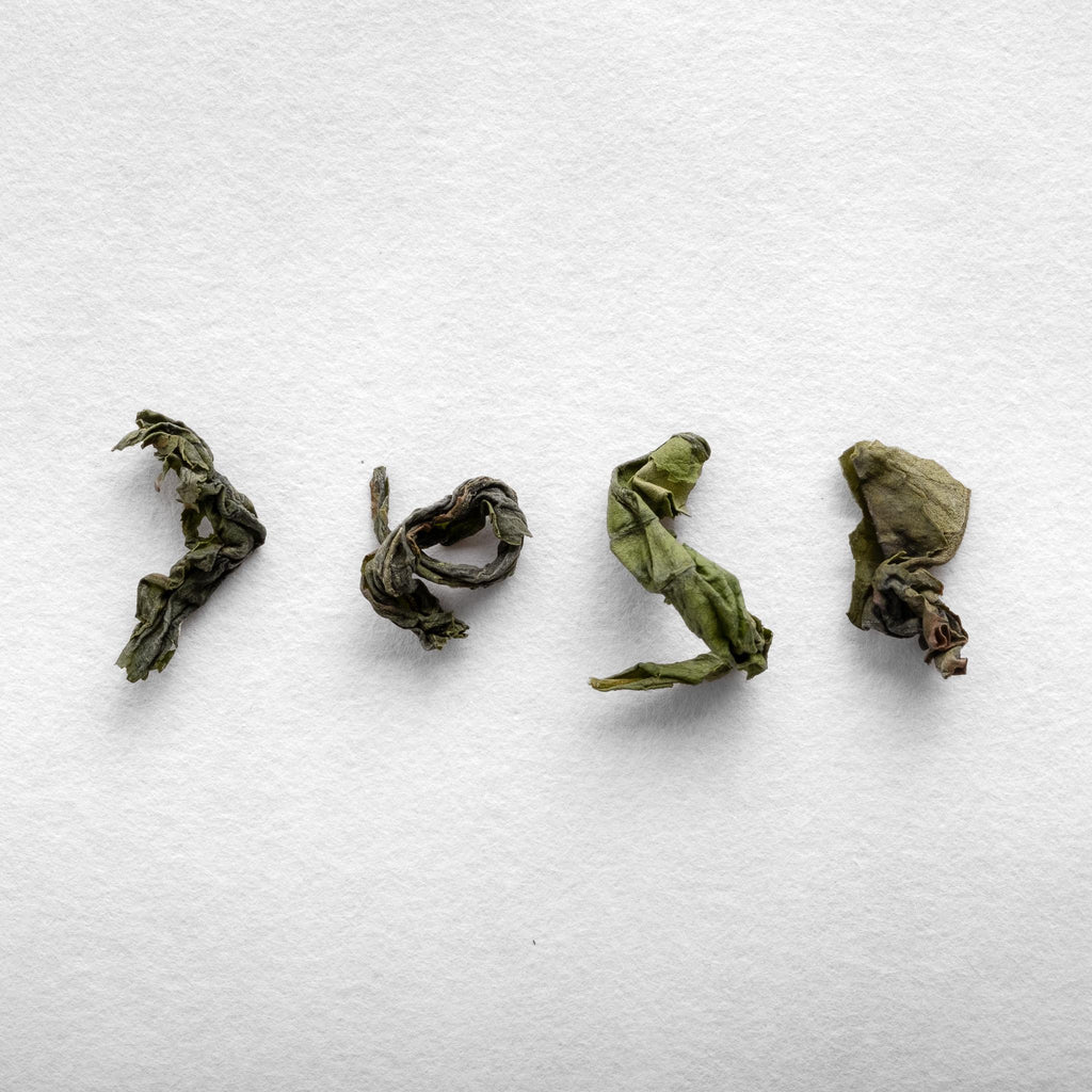 Limited Edition Miyazaki Family Oolong