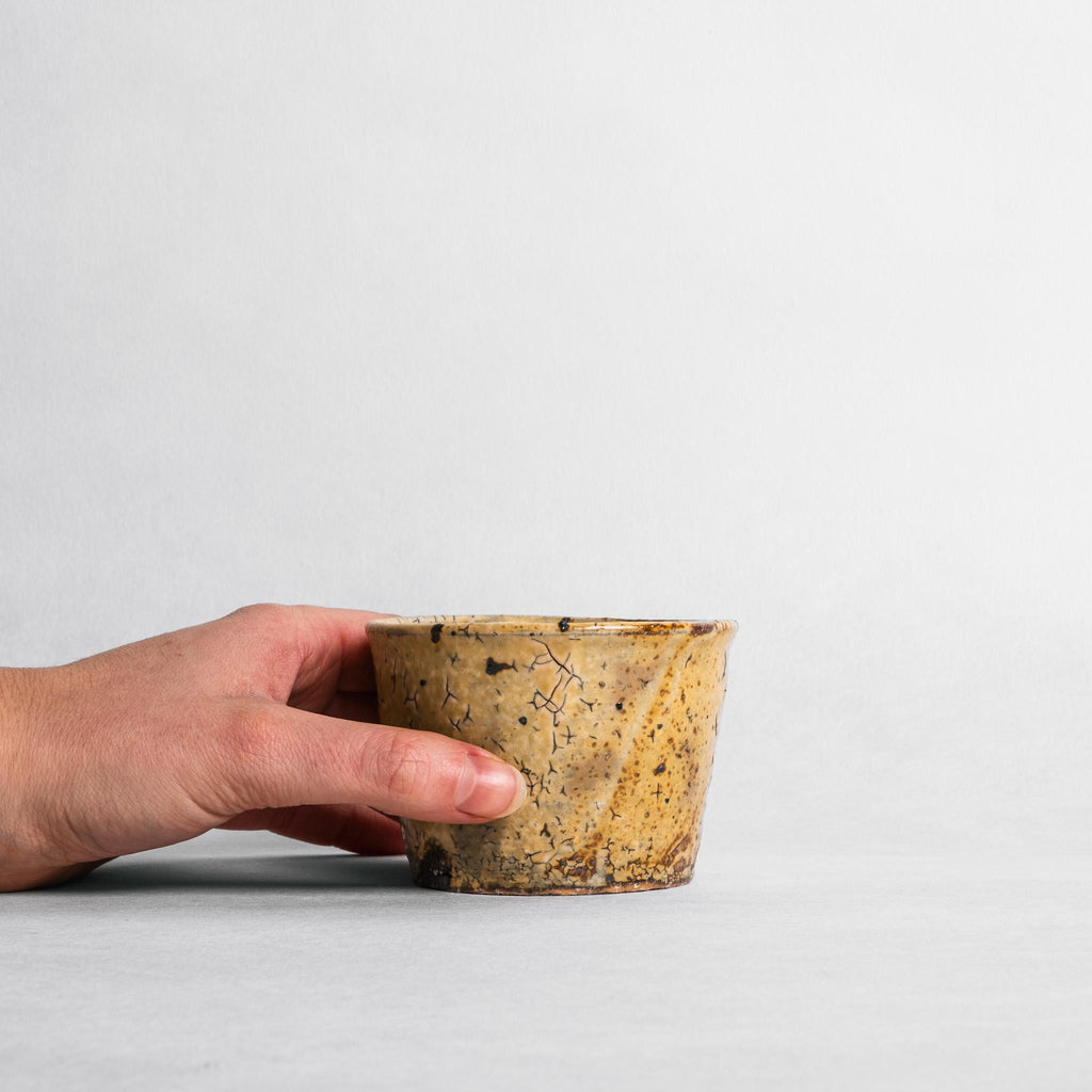 Asahikawa Yellow Choko Cup - Kazuhiko Kudō