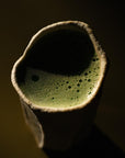 Shirakawa Gokou Matcha