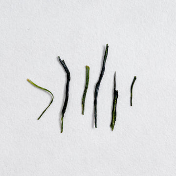 Yabukita Kabuse Shincha