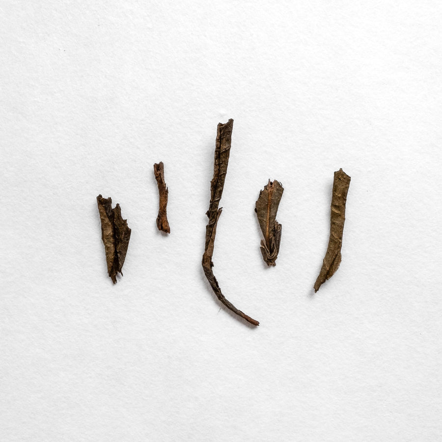 House Roasted Winter Bancha Houjicha