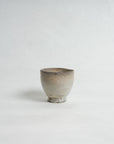 Speckled Glaze Yunomi - Shigeyoshi Morioka