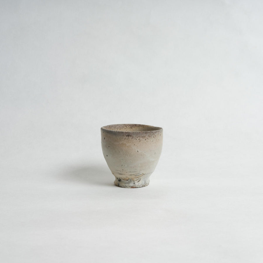 Speckled Glaze Yunomi - Shigeyoshi Morioka