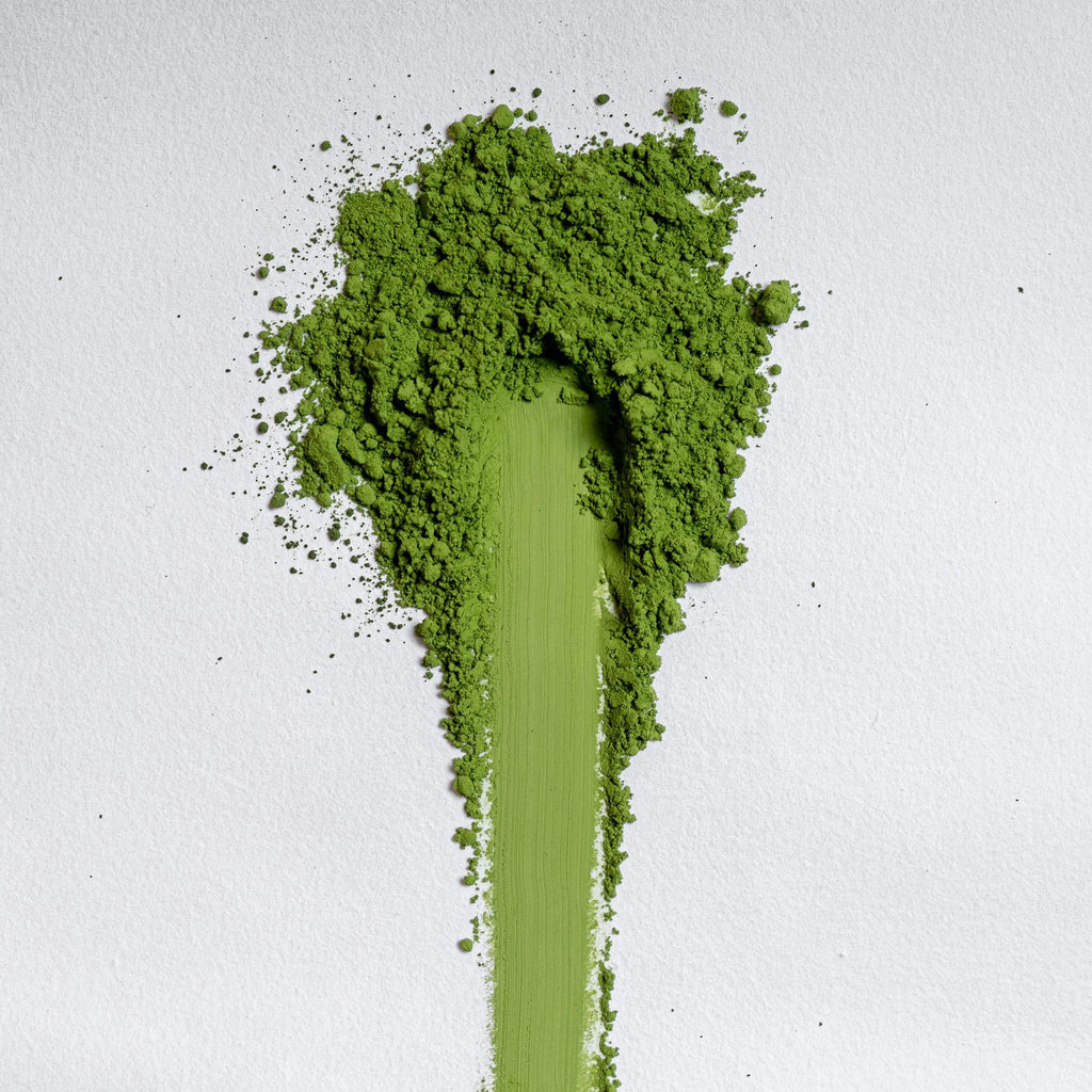 Shirakawa Uji Hikari Matcha