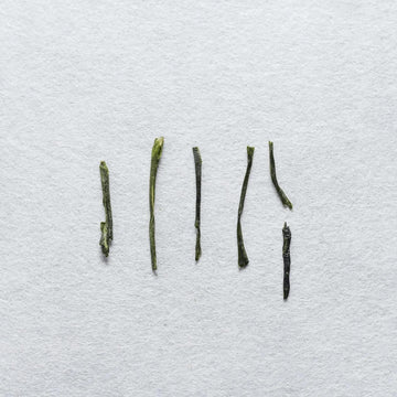 Chiran Sencha