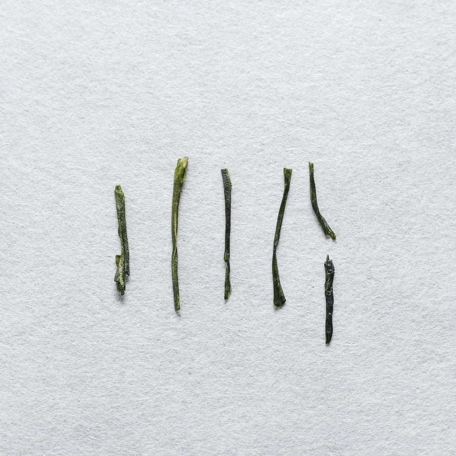 Chiran Sencha