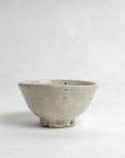 Speckled Glaze Chawan - Shigeyoshi Morioka