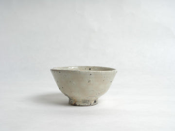 Speckled Glaze Chawan - Shigeyoshi Morioka