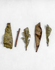 Iribancha Houjicha