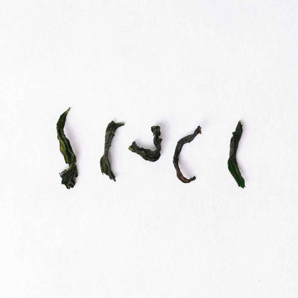 Sashima Seishin Oolong