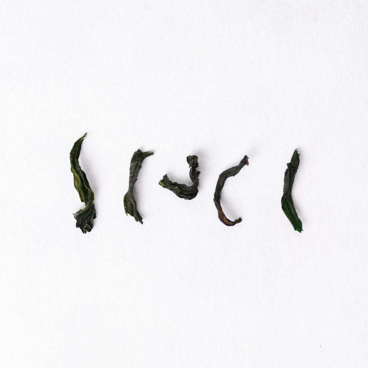 Sashima Seishin Oolong