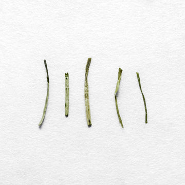 Kukicha Sencha