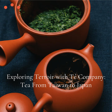 Class | Exploring Terroir with Té Company: Tea From Taiwan to Japan