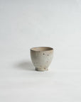 Speckled Glaze Yunomi - Shigeyoshi Morioka