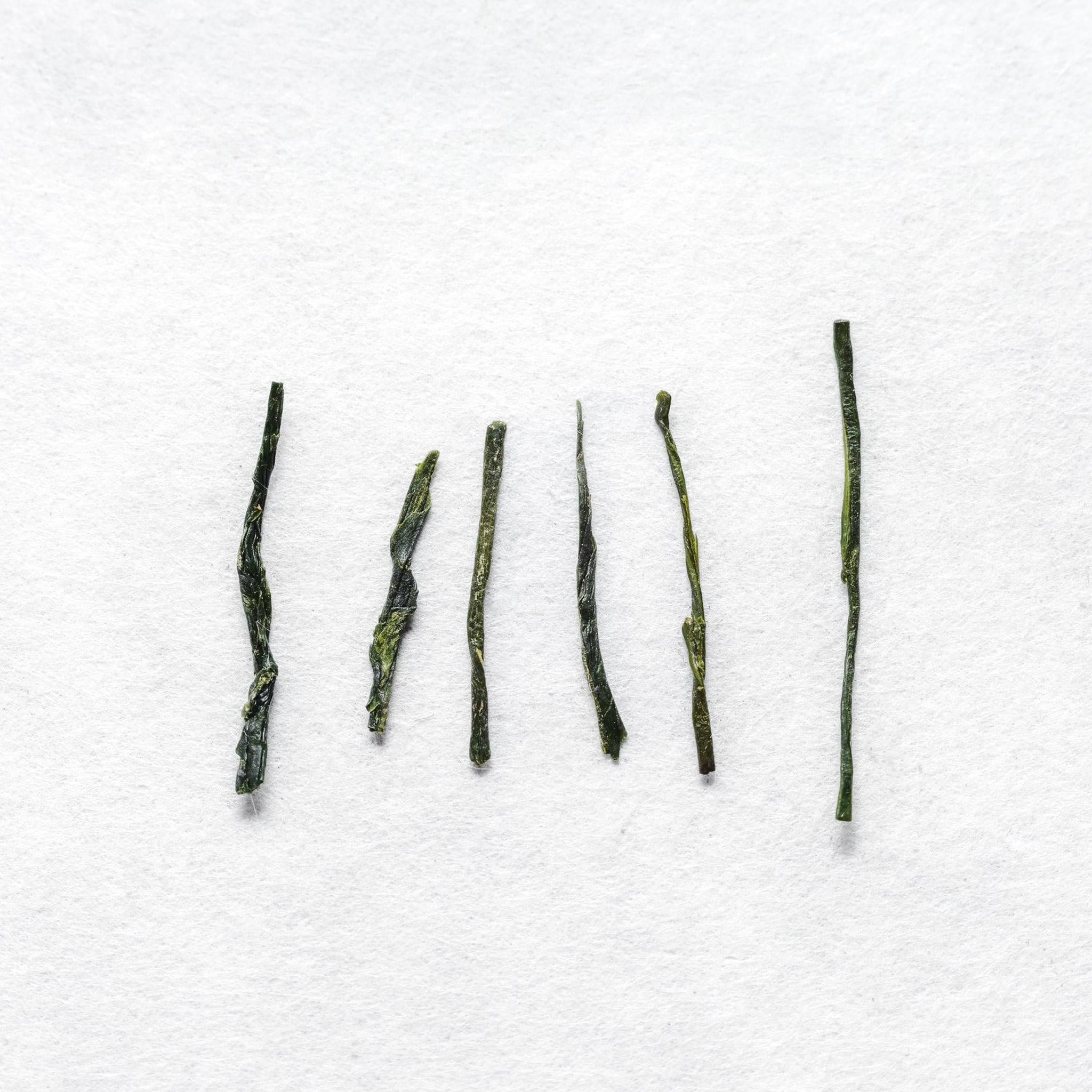Shizuku Gyokuro Premium Japanese Green Tea Kettl – Kettl