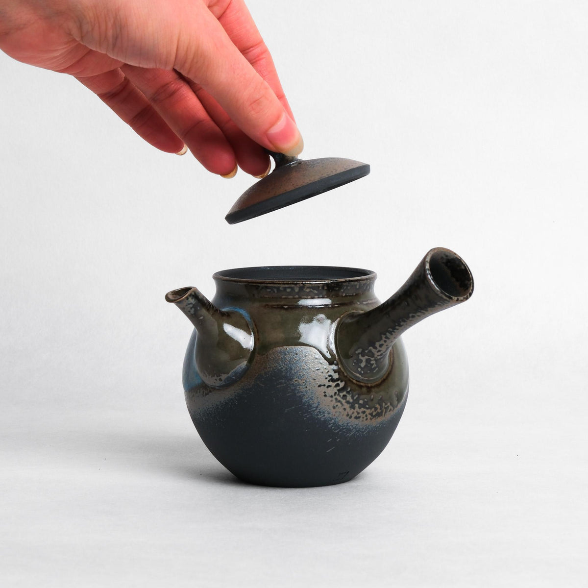 Tomohiro Burnished Kyusu