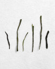 Shibushi Organic Haruto 34 Gyokuro