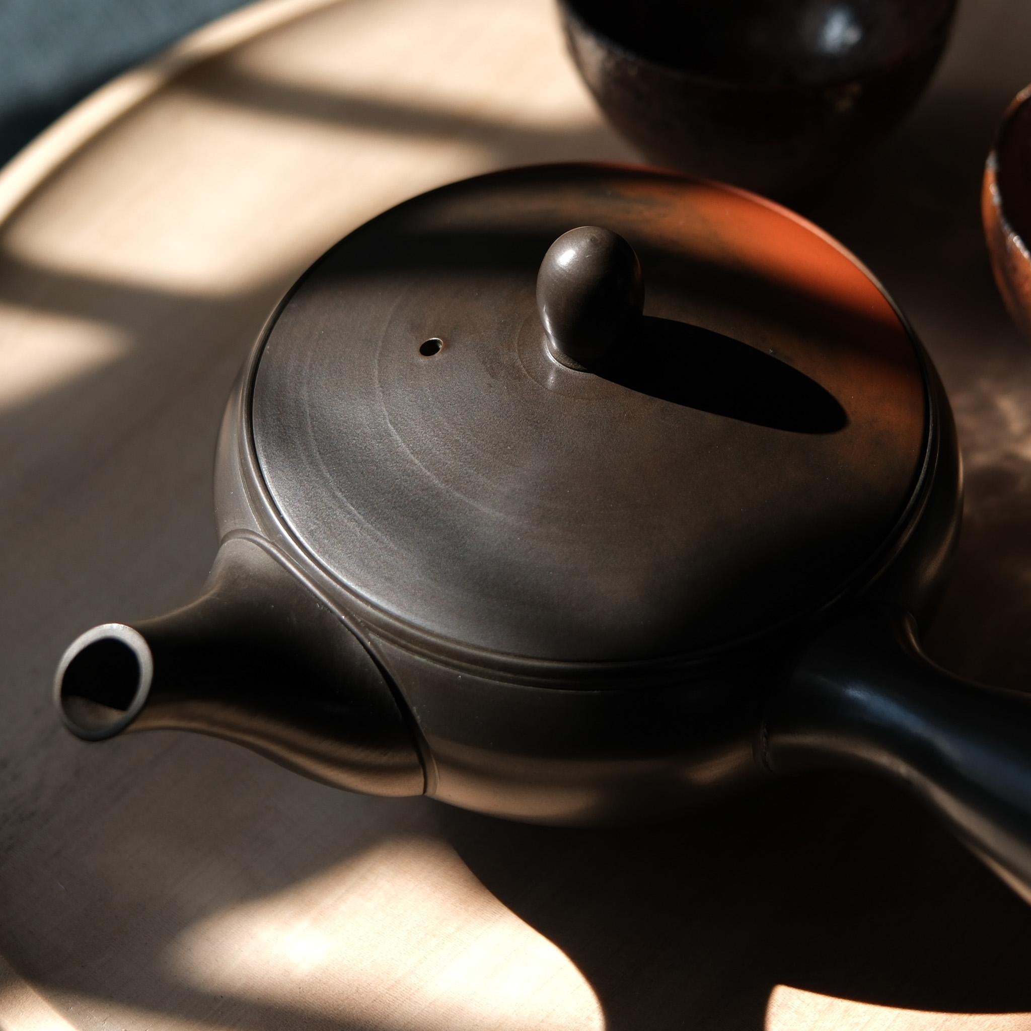 Iwase Kouji Burnished Kyusu