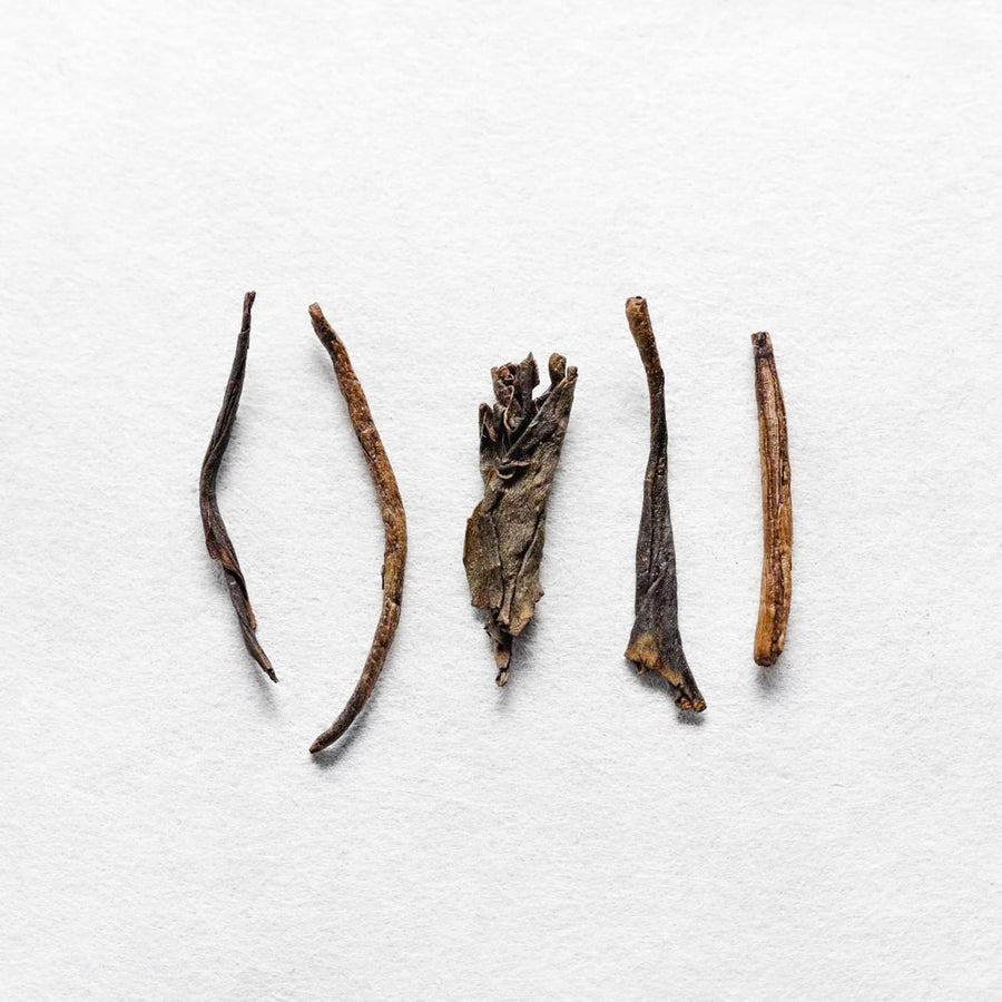 Jou Yanagi Houjicha