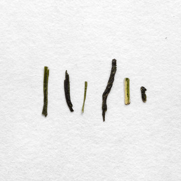 Yoshiaki Hiruma Hokumei Sencha (Pre-Order)