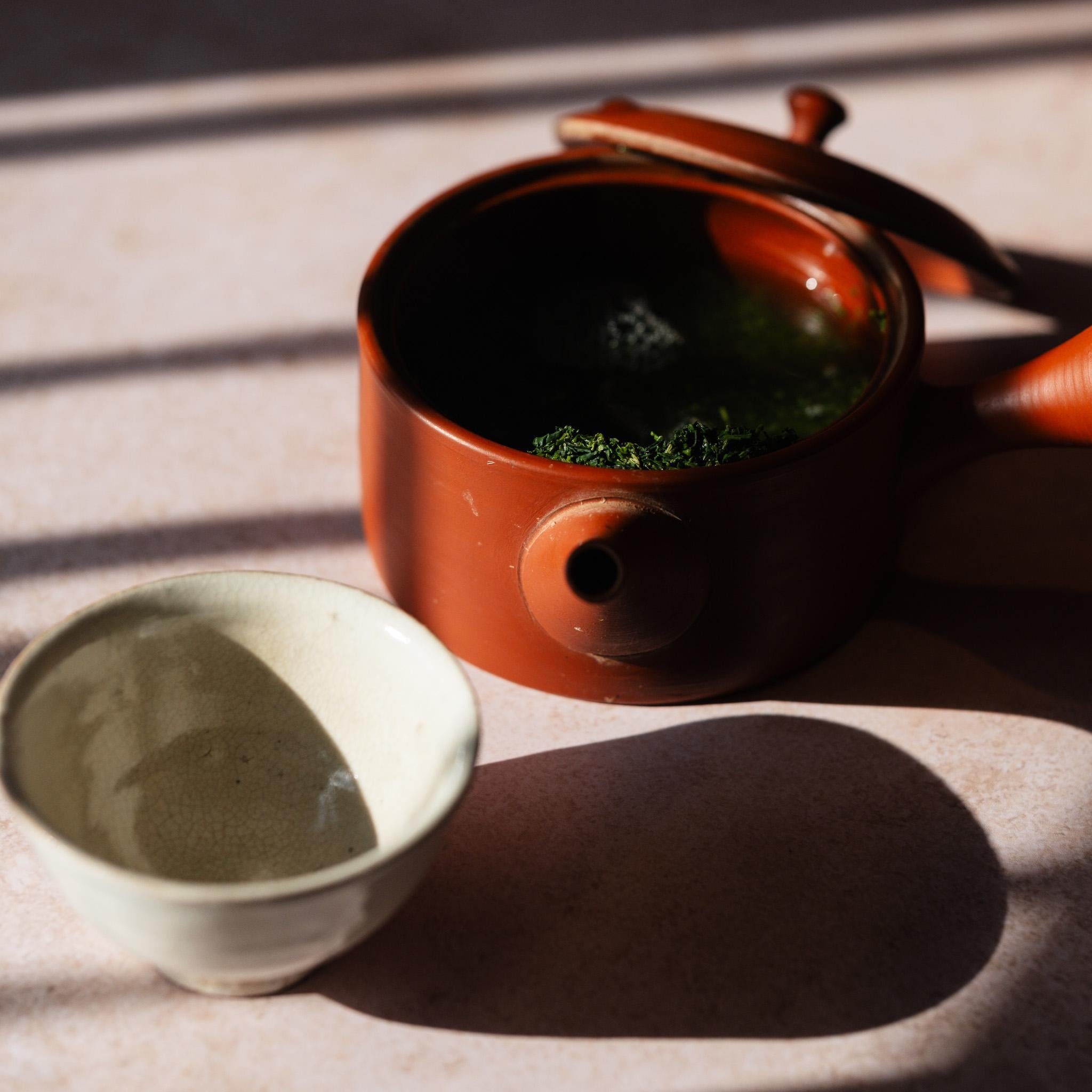 Hayadashi Sencha