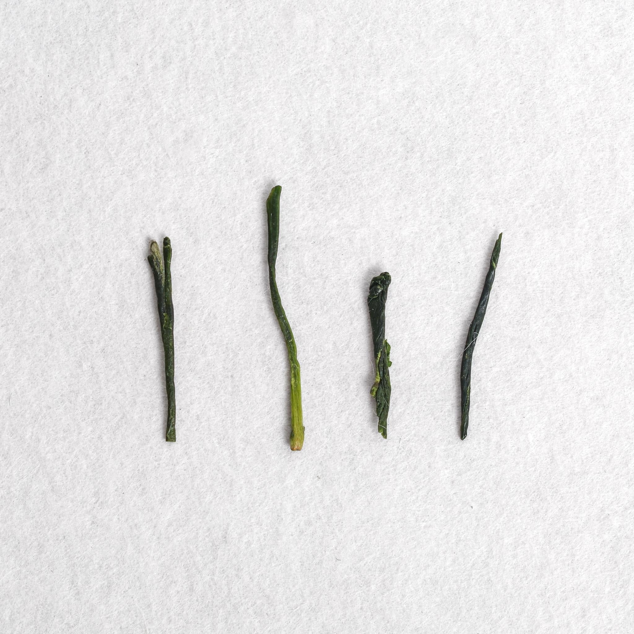 Mare Gyokuro – Kettl