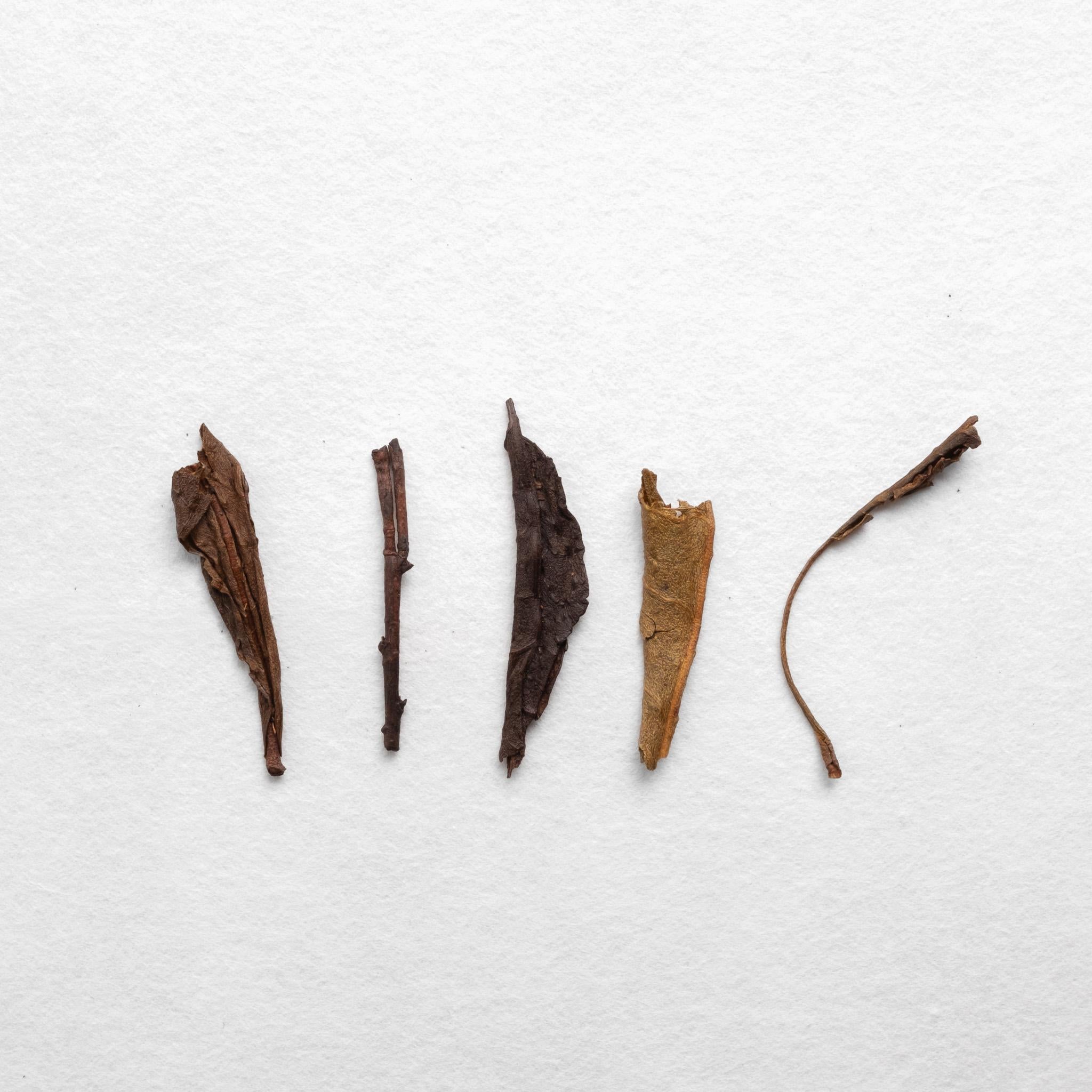 House Roasted Tsuguto Hattori Houjicha