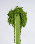 Shuichiro Sakamoto Organic Saemidori Matcha