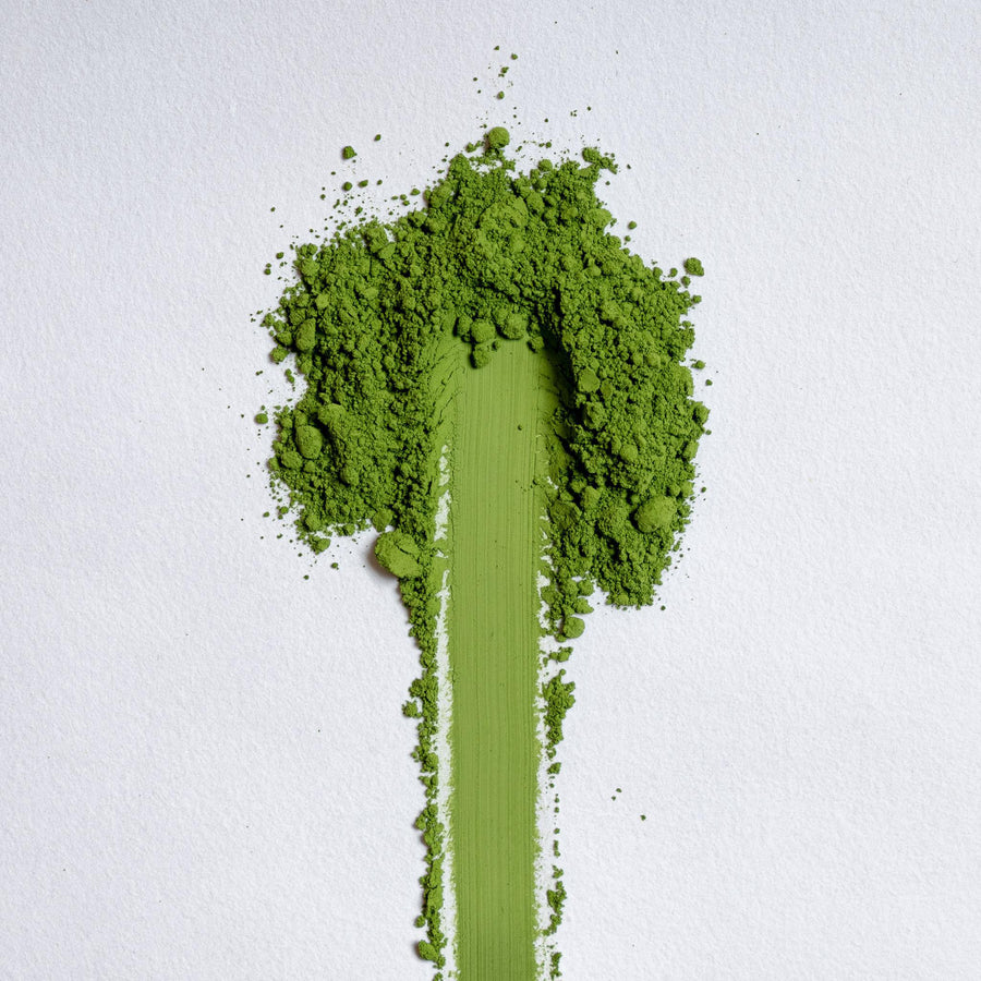 Shuichiro Sakamoto Organic Saemidori Matcha
