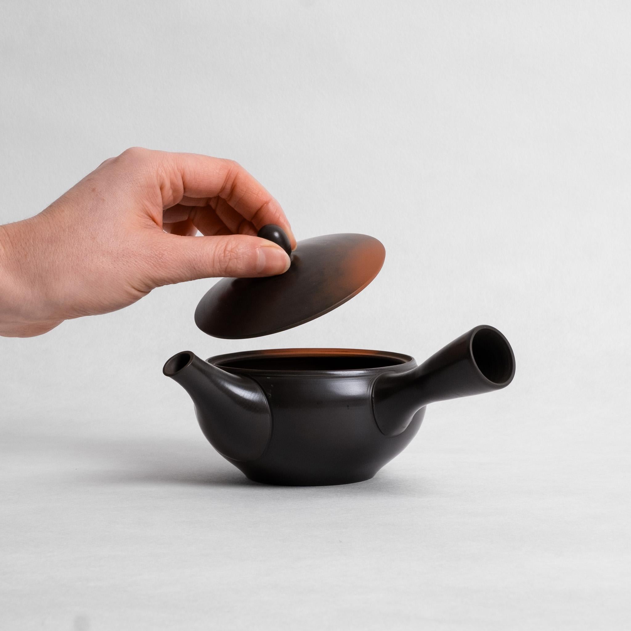 Iwase Kouji Burnished Kyusu – Kettl