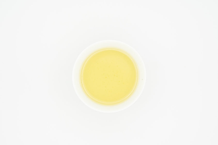 Yame Oolong Tea Bags | Pouch